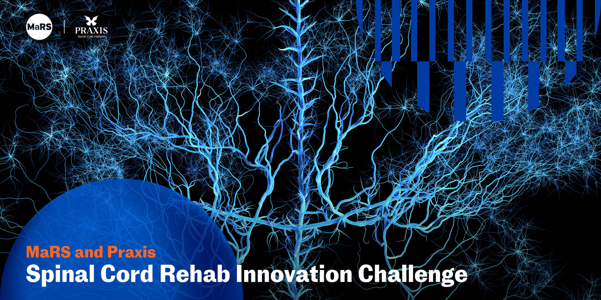 Announcing the Spinal Cord Rehab Innovation Challenge Winners